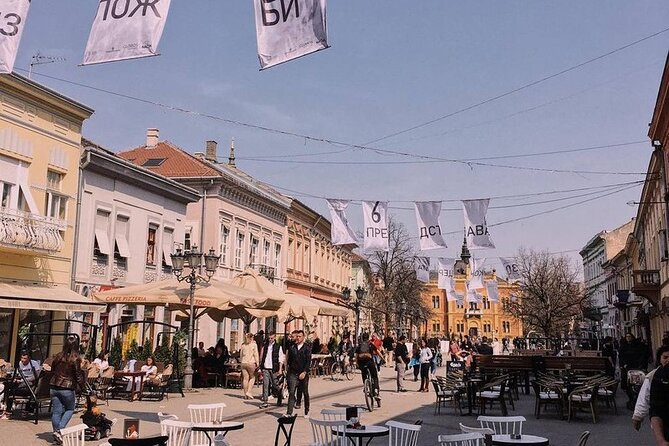 3 Hour Private Walking Tour in Novi Sad City - Zmaj Jovina Street and the city’s grand facades
