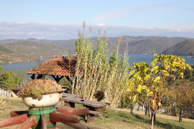 Along the Danube: Golubac Fortress & Iron Gate Gorge day trip from Belgrade - Guides, transport, and the small practical details