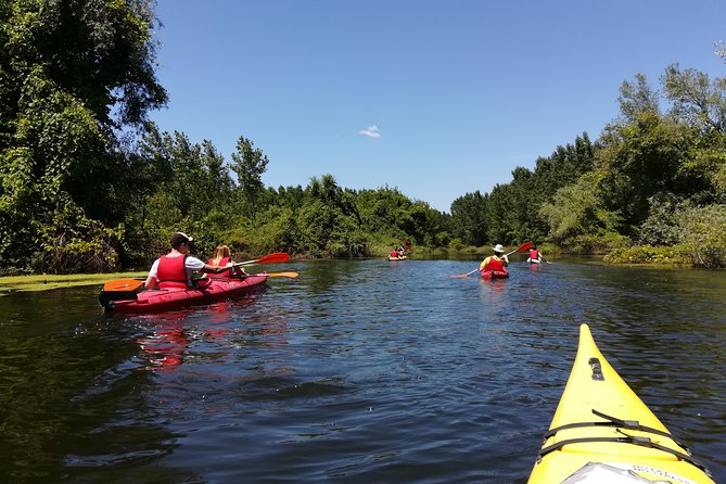 Belgrade Amazon Kayak Adventure - Key points before you book