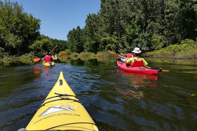 Belgrade Amazon Kayak Adventure - From the Danube quay to Beljarica’s channels