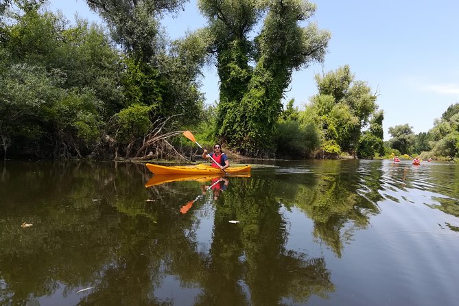 Belgrade Amazon Kayak Adventure - Price, group size, and overall value