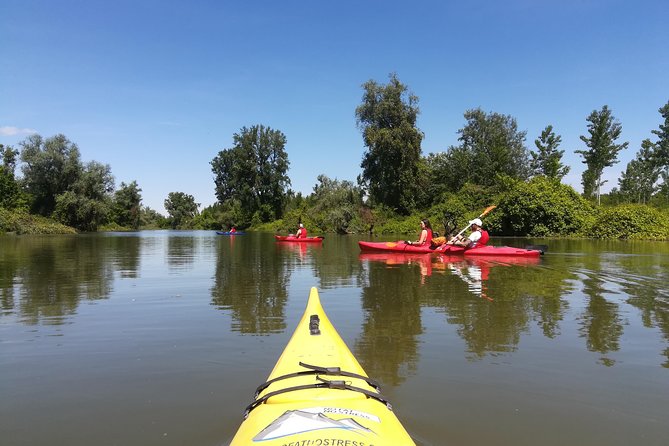 Belgrade Amazon Kayak Adventure - Weather, timing, and cancellation advice