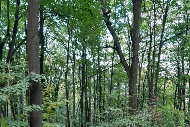 Belgrade Hiking Tour On Mountain Avala - The Monument to the Unknown Hero