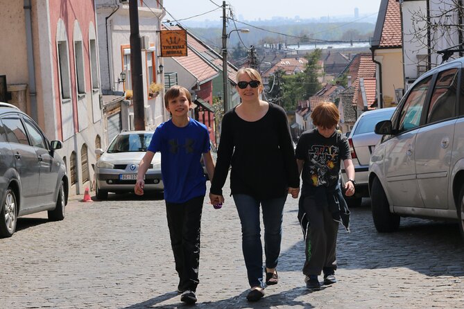 Belgrade Private City Tour – Metropolis Between East and West - Gardoš and the Millennium Tower viewpoint