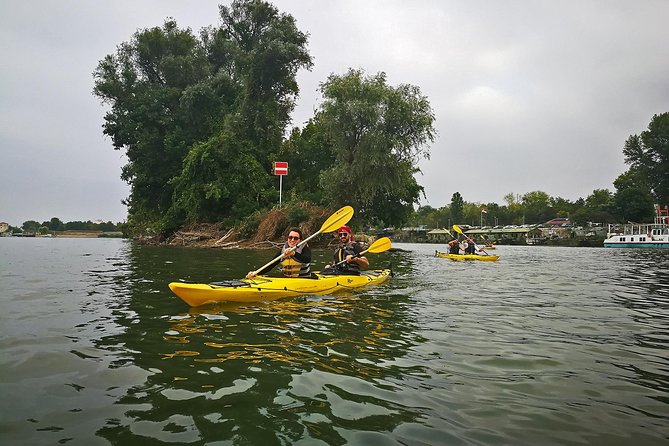 Belgrade War Island Kayak Tour - Why Great War Island is such a good place to kayak