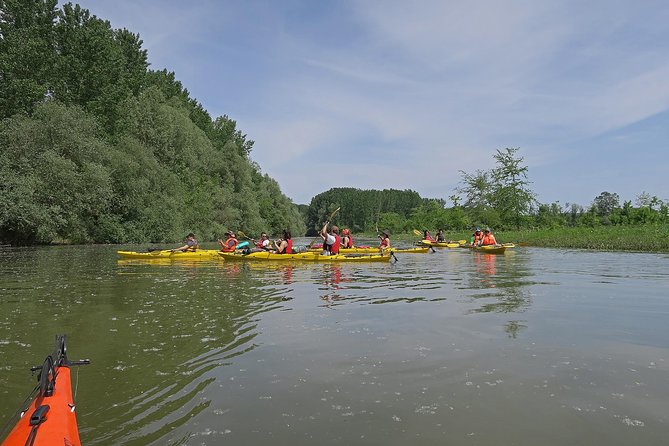 Belgrade War Island Kayak Tour - Lido Beach, swimming, and a welcome pause