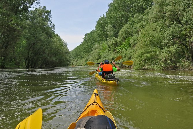 Belgrade War Island Kayak Tour - What the $42.33 price delivers
