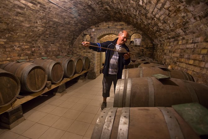 From Belgrade: Novi Sad and Sremski Karlovci Tour - Price, group size, and what you receive