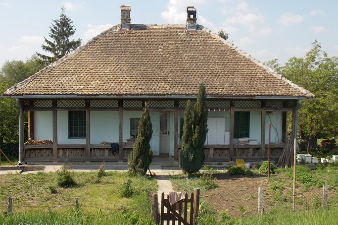 From Belgrade to Pančevo - into the wild - Is This a Relaxing Ride or a Serious Workout?