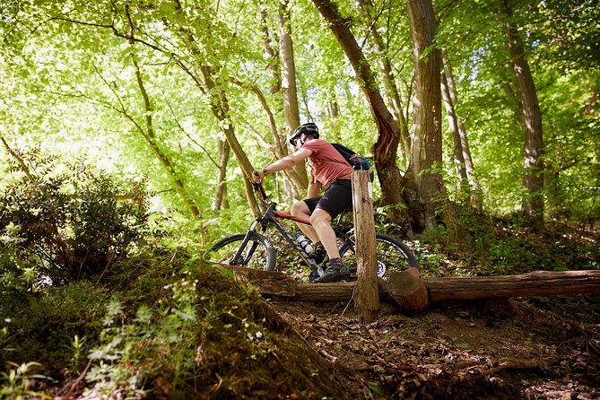 Fruška Gora Bike Tour - Pickup from Belgrade and the six-hour schedule