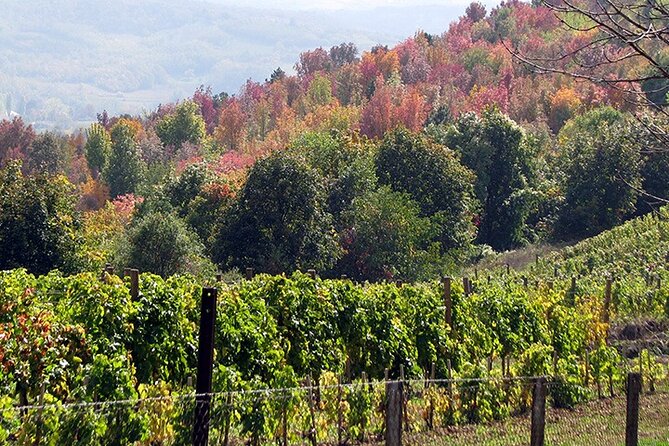 Full-Day Private Royal Heritage Tour to Oplenac With a Winery Visit - Optional lunch in Aranđelovac