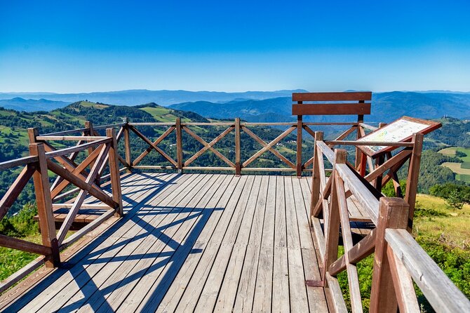 Full-Day Trip from Belgrade: Tara National Park & The Drina River Valley - A small group makes the long drive easier