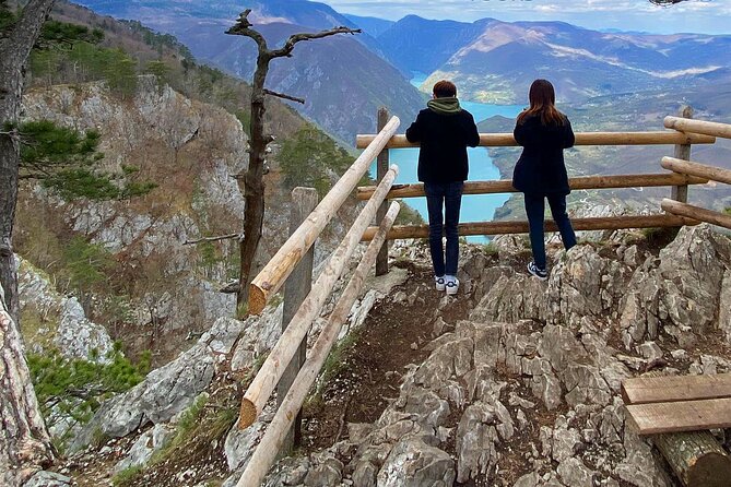 Full-Day Trip from Belgrade: Tara National Park & The Drina River Valley - Tara National Park begins at Zelenika viewpoint