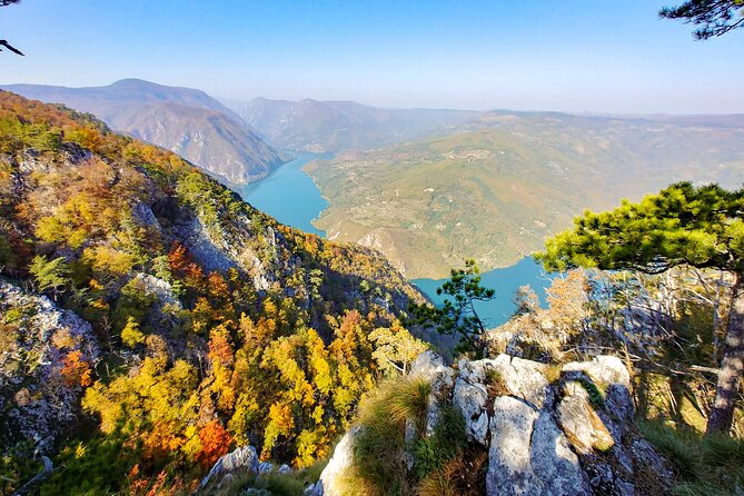 Full Day Trip from Belgrade: The Drina River House And Tara Park Tour - The Drina River House and its stubborn story