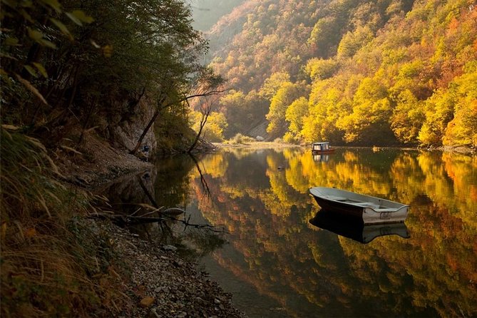 Full Day Trip from Belgrade: The Drina River House And Tara Park Tour - Practical advice for making the day better