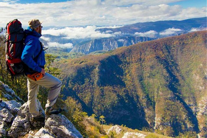 Full Day Trip from Belgrade: The Drina River House And Tara Park Tour - Should you book the Drina River House and Tara tour?