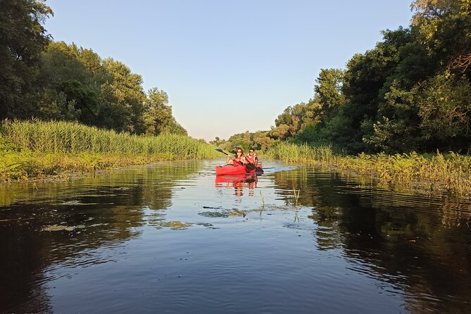 Great War Island Kayak Adventure - Why Great War Island makes a good city escape