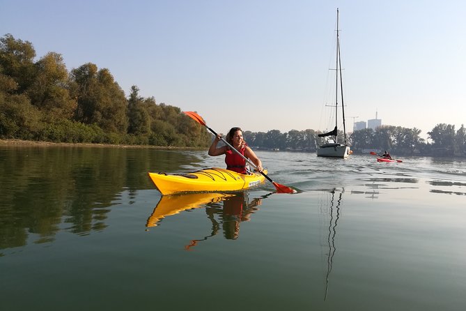 Great War Island Kayak Adventure - Following the coast and circling Great War Island