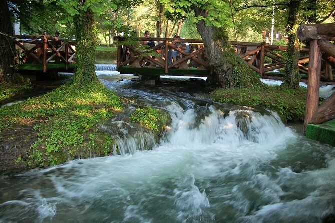 National Park Tara: House on Drina river, Banjska Stena View Point & Wooden Town - Who Will Enjoy This Day Most?