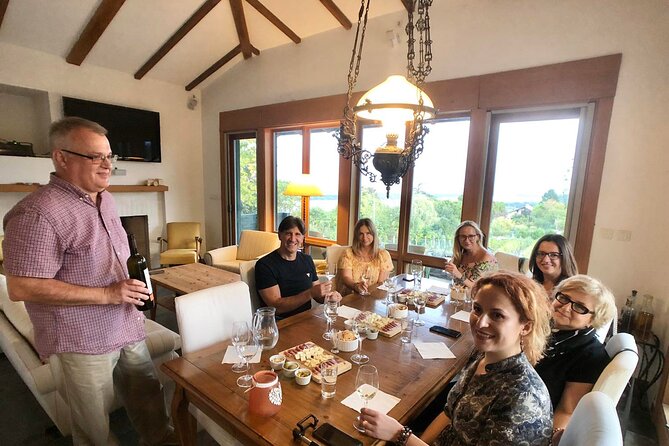 Natural wine tasting with great views - A small winery outside Belgrade