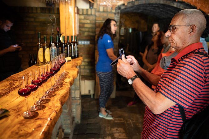Northern Serbia: Sremski Karlovci and Novi Sad Full-Day Tour from Belgrade - Novi Sad, Serbia’s Serbian Athens
