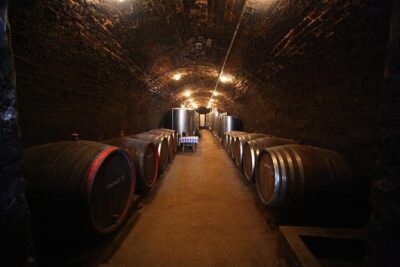 Novi Sad and Sremski Karlovci private tour with wine tasting