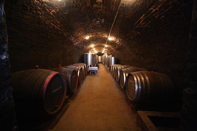 Novi Sad and Sremski Karlovci private tour with wine tasting - Petrovaradin Fortress and the Danube view