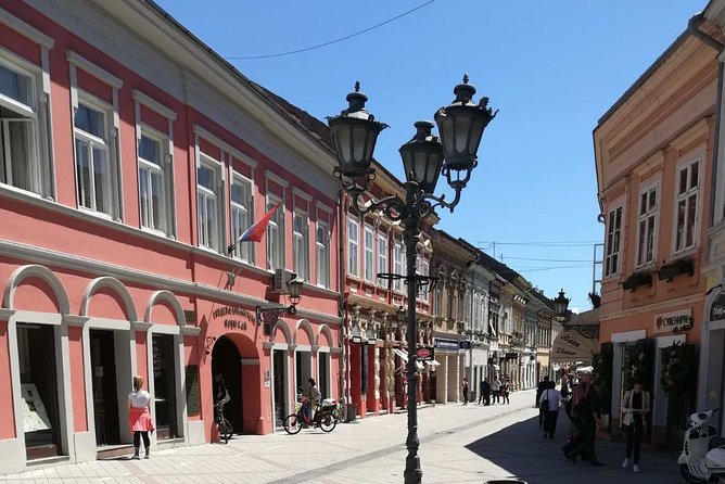 Novi Sad and Sremski Karlovci Wine Tour From Belgrade - Who should book this tour