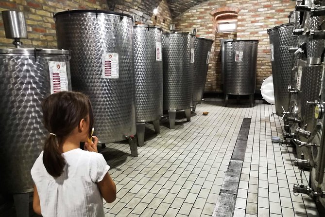 Novi Sad Saturday Full day trip - Sremski Karlovci: two hours for wine and old Serbia
