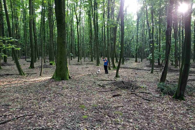 Private Guided Truffle Hunting Tour in Serbia with Lunch - Is $173.64 per person good value?