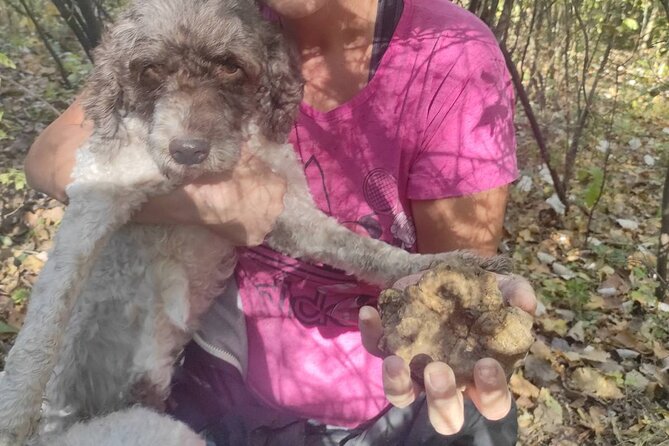 Private Guided Truffle Hunting Tour in Serbia with Lunch - Who will enjoy this private outing?