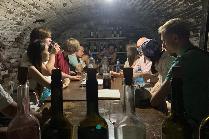 Private Novi Sad, Titanic wine tasting and Farmer's House - Why this northern Serbia day trip works