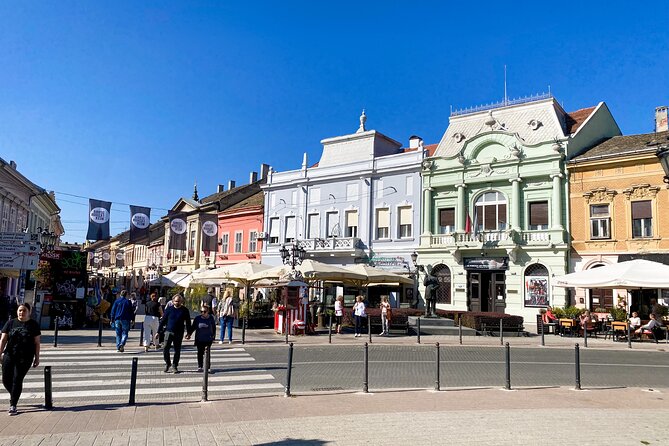 Private Novi Sad, Titanic wine tasting and Farmer's House - Novi Sad and one hour in Stari Grad