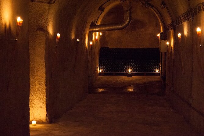Private Wine Tasting by Party in Belgrade - A good choice for a slower evening in Belgrade