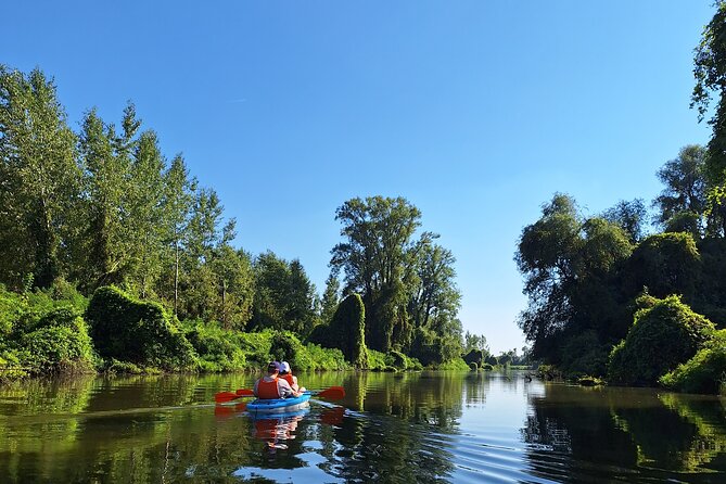 Self-guided kayak tour in Belgrade - Weather, timing, and practical planning