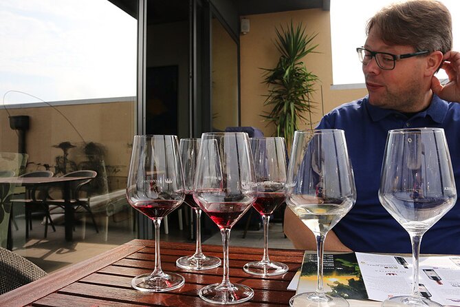 Small Group Wine Tour in Sumadija Wine Region - Lunch in Topola and the chance to order more wine