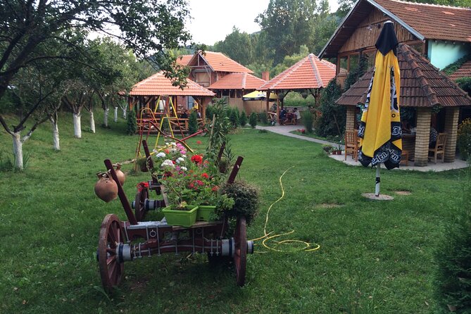 Stara Plana Day Tour - What the private vehicle changes