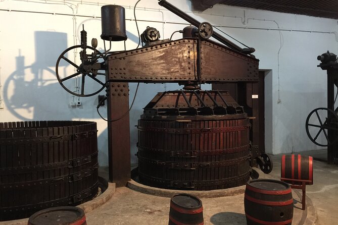 Topola: Royal Dynasty Half Day Tour from Belgrade - The Royal Winery and Serbian wine