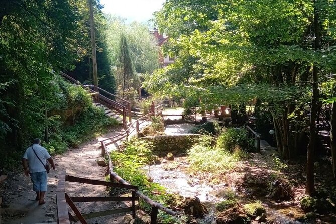 Wonders of Eastern Serbia a Full Day Tour from Belgrade - Who should book this tour?