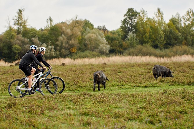 Zasavica Bike Tour - Key points to know before booking