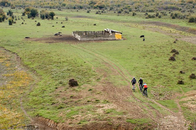 Zasavica Bike Tour - Heritage animals and protected wetlands